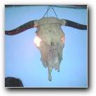 [Zum Vergr�ssern anklicken]