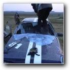 [Zum Vergr�ssern Anklicken]