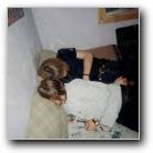 [Zum Vergr�ssern anklicken]