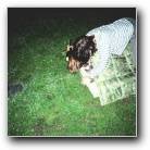 [Zum Vergr�ssern Anklicken]