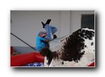 [ Anklicken zum Vergrssern ]